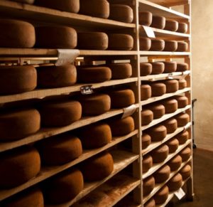 Inside the cheese cave