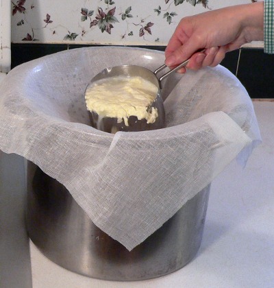 Draining the Ricotta Curds through Cheesecloth