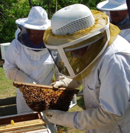 II. Essential Equipment for Beekeeping