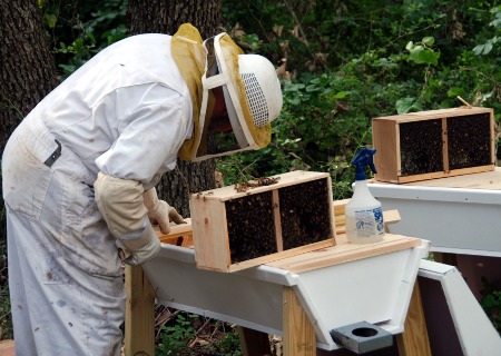Preparing the hive for the package of bees