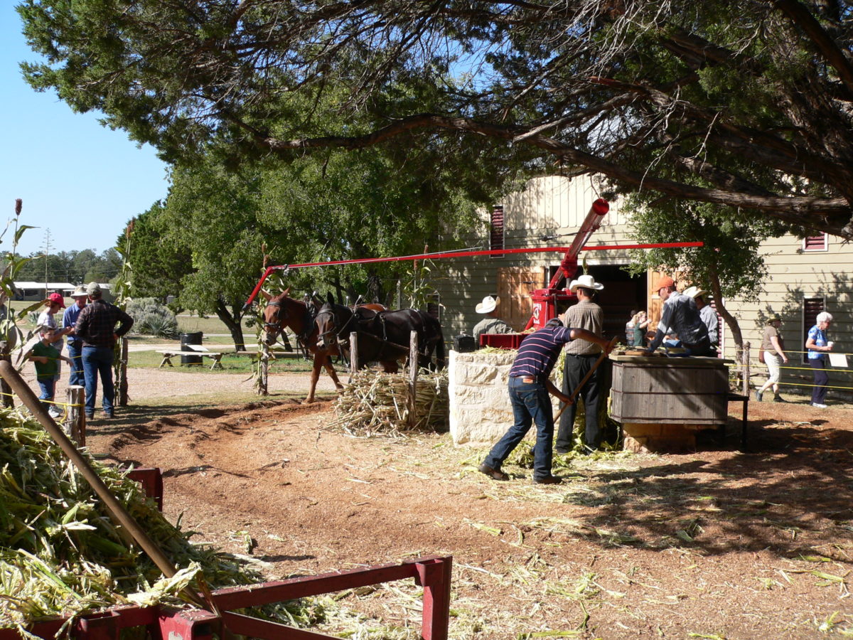 Pressing Sorghum