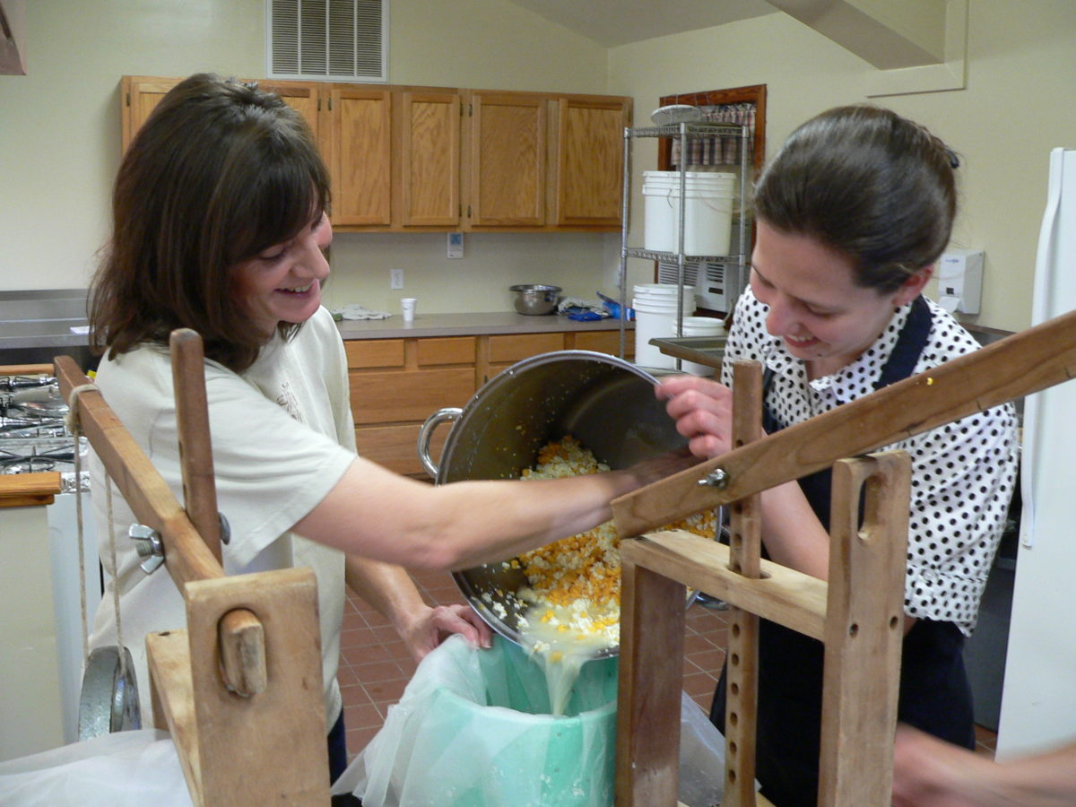 Transferring curds into the cheese press