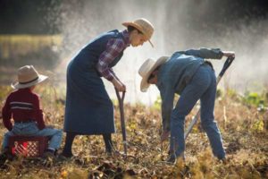 Digging in the Garden